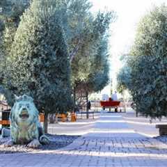 Things To Do Queen Creek