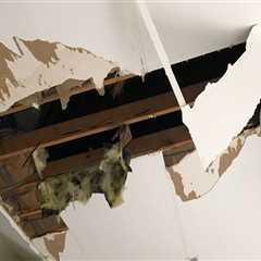 Identifying and Addressing Leaks in Ceilings and Walls