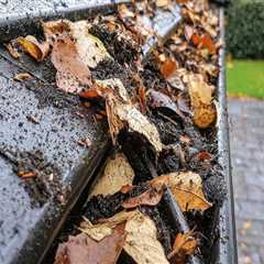 Understanding the Common Causes of Roof Leaks