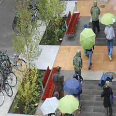 Essential Drain Care Practices for Portland Residents