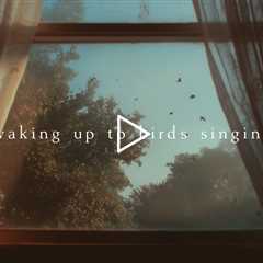 Waking up to birds singing | Piano Playlist
