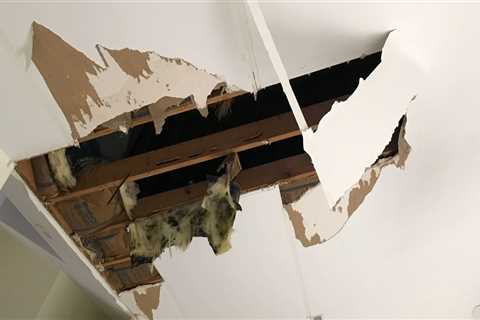 Identifying and Addressing Leaks in Ceilings and Walls
