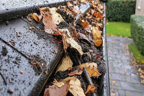 Understanding the Common Causes of Roof Leaks