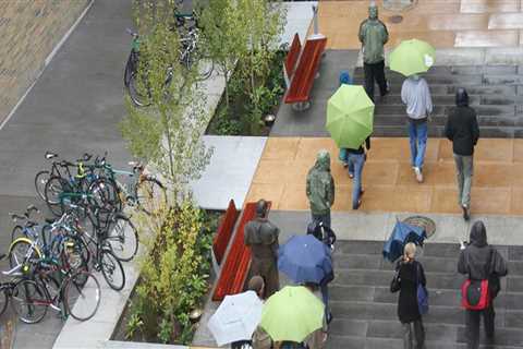 Essential Drain Care Practices for Portland Residents