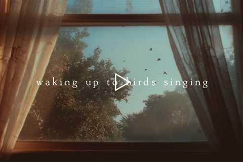 Waking up to birds singing | Piano Playlist