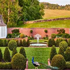 Creating a Balanced Landscape With Lawn Care and Tree Service