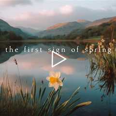 The first sign of spring | Piano Playlist