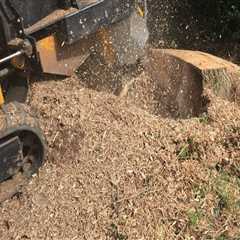 Prepare Your Lawn for Sprinklers with Stump Grinding