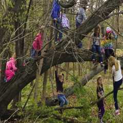 What to Do If You See Someone in Danger While Climbing a Tree