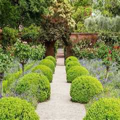 Achieving Balance and Symmetry in Your Patio Landscaping