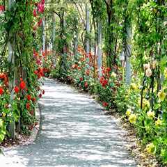 Transform Your Outdoor Space with Smart Lighting & Pergolas