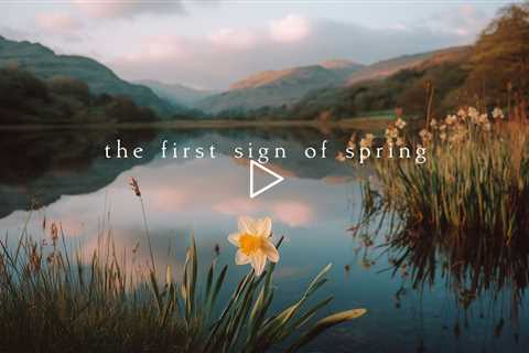 The first sign of spring | Piano Playlist
