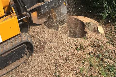 Prepare Your Lawn for Sprinklers with Stump Grinding