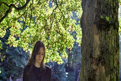 Understanding the Importance of Tree Inspections for Public Safety