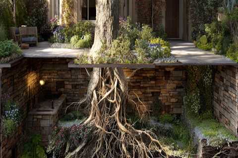 Understanding Tree Safety: The Risks of Large Roots Near Your Home