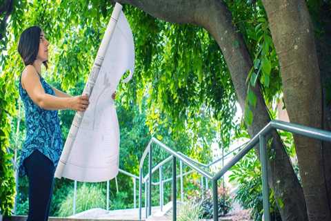 Understanding Tree Risk Assessment: The Impact of Location on Tree Safety