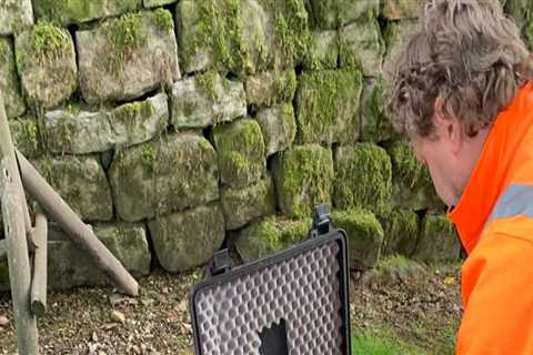 Essential Qualifications for Tree Inspectors: What You Need to Know