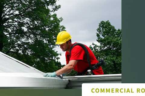 Roofer Near Me Vineland, NJ · Tuesday, Feb 3 📸