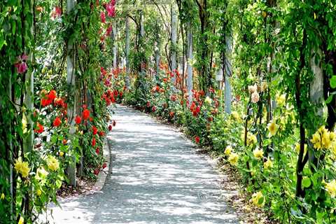 Transform Your Outdoor Space with Smart Lighting & Pergolas