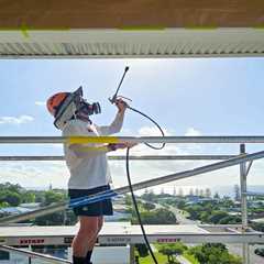How Much Does Strata Painting Cost in Dee Why NSW for Apartments? | Iamarrows