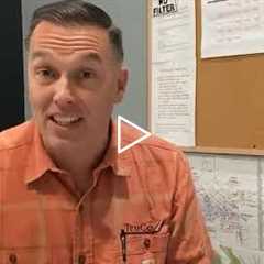 Affordable Tree Removal