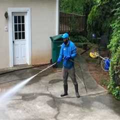 Tree Care Services Insights for Properties That Use Pressure Washing Services