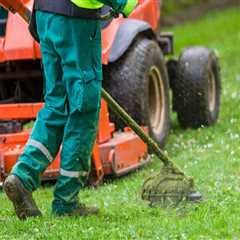 What to Know About Lawn Care Services During Concrete Contractor Work