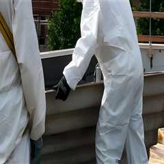 Morley Property Guide: What Is an Asbestos Management Survey? - Charlie Wiki