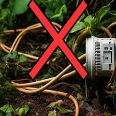 Residential Landscaping Essentials to Minimize Risks to Electrical Lines