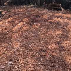 Forestry Mulching Considerations for Areas With Hidden Wiring