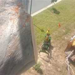 Tree Trimming Considerations for Homes With Complex Electrical Layouts