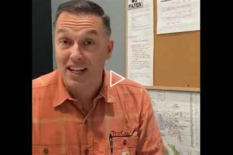 Affordable Tree And Shrub