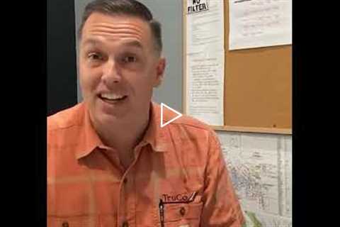 Affordable Tree Cutting Service