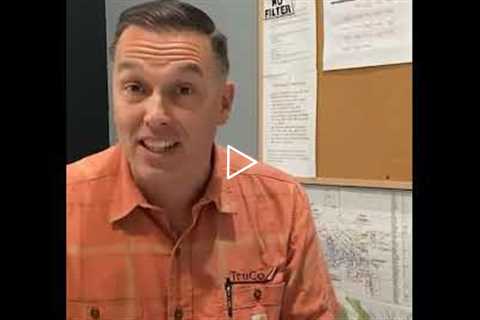 Affordable Tree Removal