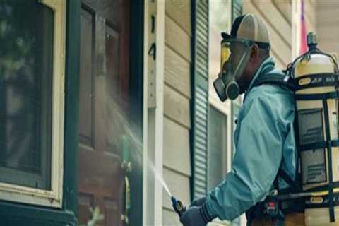 Outdoor Pest Control and Home Transitions: What to Consider