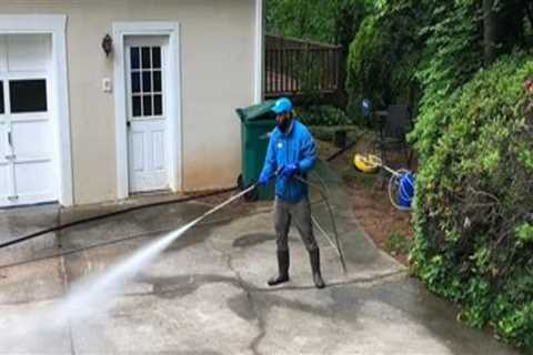 Tree Care Services Insights for Properties That Use Pressure Washing Services
