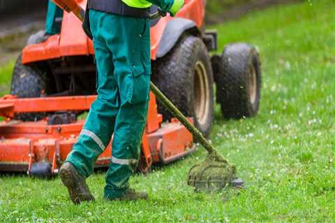 What to Know About Lawn Care Services During Concrete Contractor Work