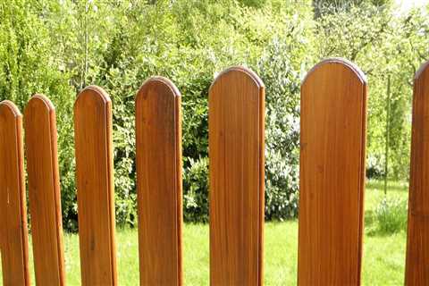 Ensure Tree Safety with Reliable Fencing in Portland