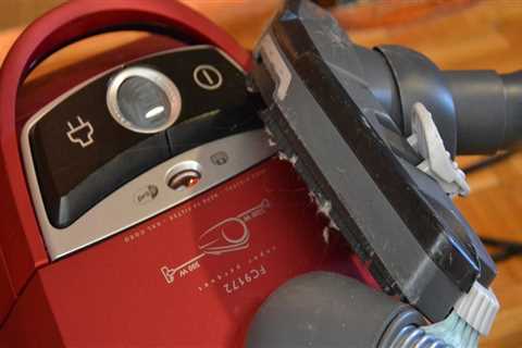 Expert Move-In Cleaning and Groundskeeping in Ontario