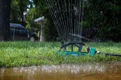 Lawn Care Services Strategies for Managing Water Flow in Your Yard
