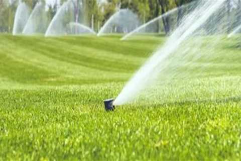 Lawn Sprinkler Systems Strategies for Efficient Water Distribution