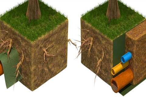 Tree Trimming and the Role of Root Control in Plumbing Safety