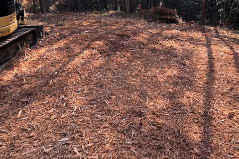 Forestry Mulching Considerations for Areas With Hidden Wiring