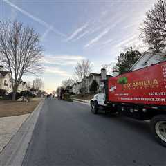 Emergency Tree Removal Atlanta, GA