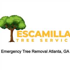TrueFans | Shows | Emergency Tree Removal Atlanta, GA
