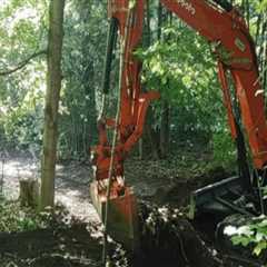 Navigating Tree Excavation in Urban Spaces: Challenges and Solutions