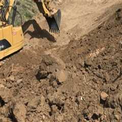 Effective Strategies for Disposing of Excavated Soil and Debris from Tree Excavation