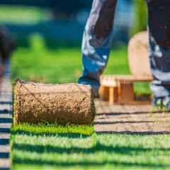 Sustainable Approaches to Turf Management: Reducing Chemical Treatments