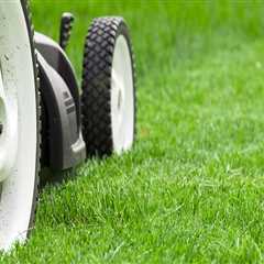 Finding the Right Mowing Height for Healthy Turf Management