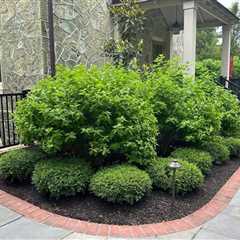 Mulch Supplier For Landscapers West Chester, PA